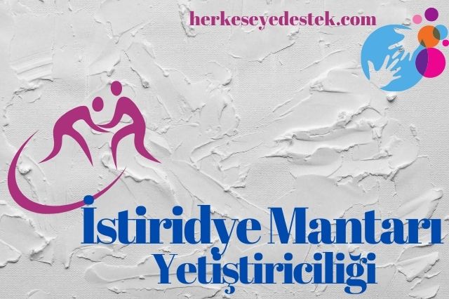 istiridye mantari yetistiriciligi 01